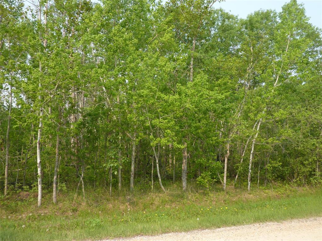 62 PALMER Place, sandy hook, Manitoba