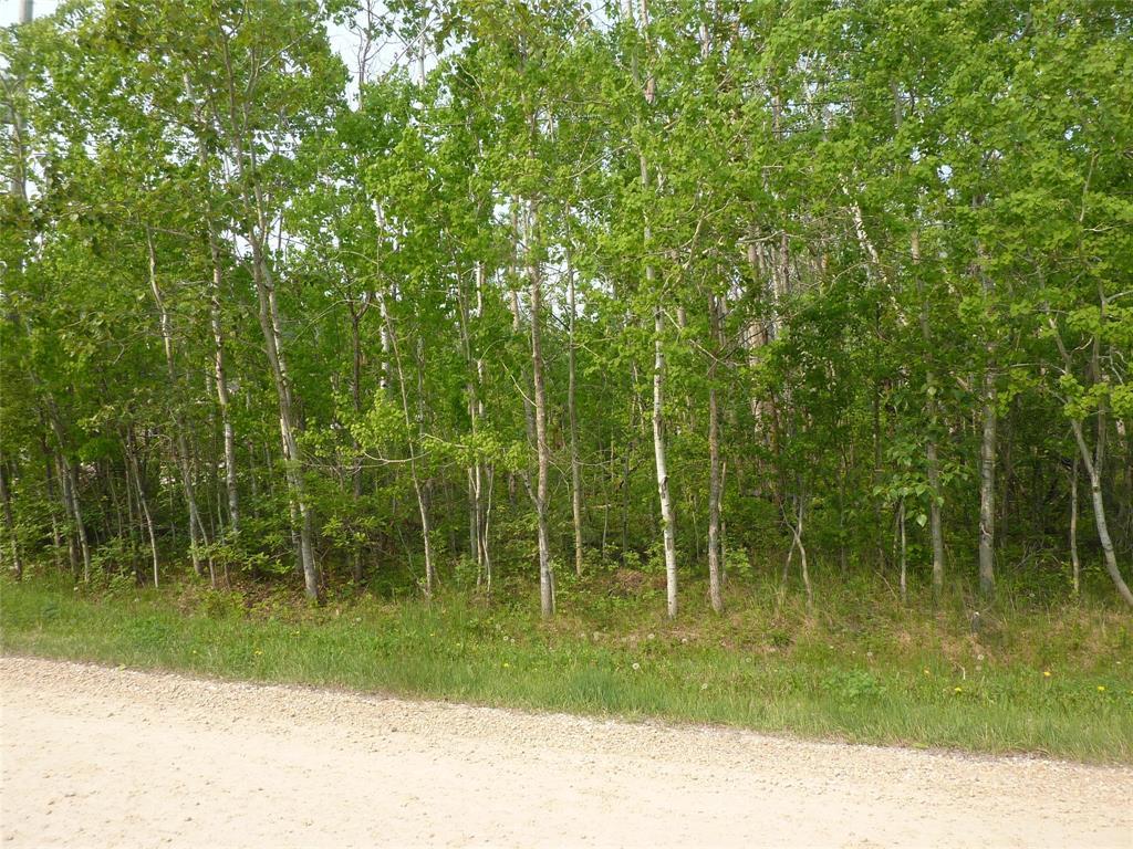 62 Palmer Place, Sandy Hook, Manitoba  R0C 2W0 - Photo 1 - 202513687