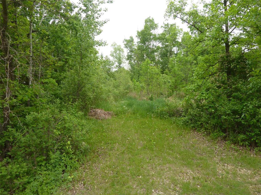 311 Poplar Avenue, Gimli Rm, Manitoba  R0C 1B0 - Photo 1 - 202515358