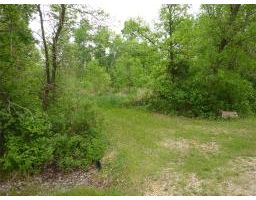 311 POPLAR Avenue, gimli rm, Manitoba