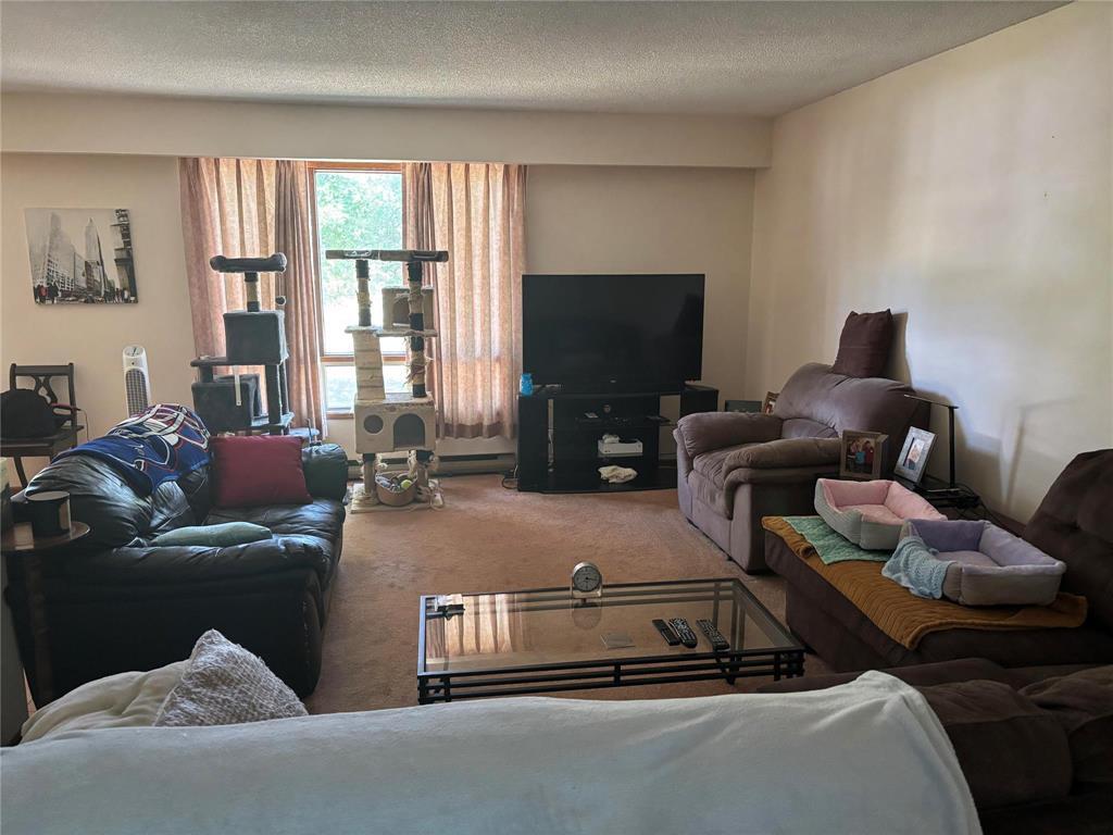 20154 Pr 229e Highway, Gimli Rm, Manitoba  R0C 1B0 - Photo 3 - 202516722