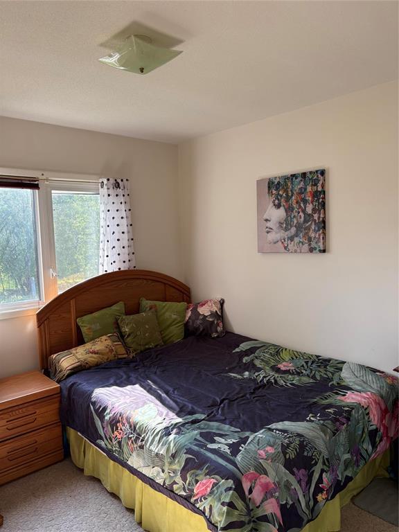 1822 Shorepointe Village, Gimli Rm, Manitoba  R0C 1B1 - Photo 9 - 202518634