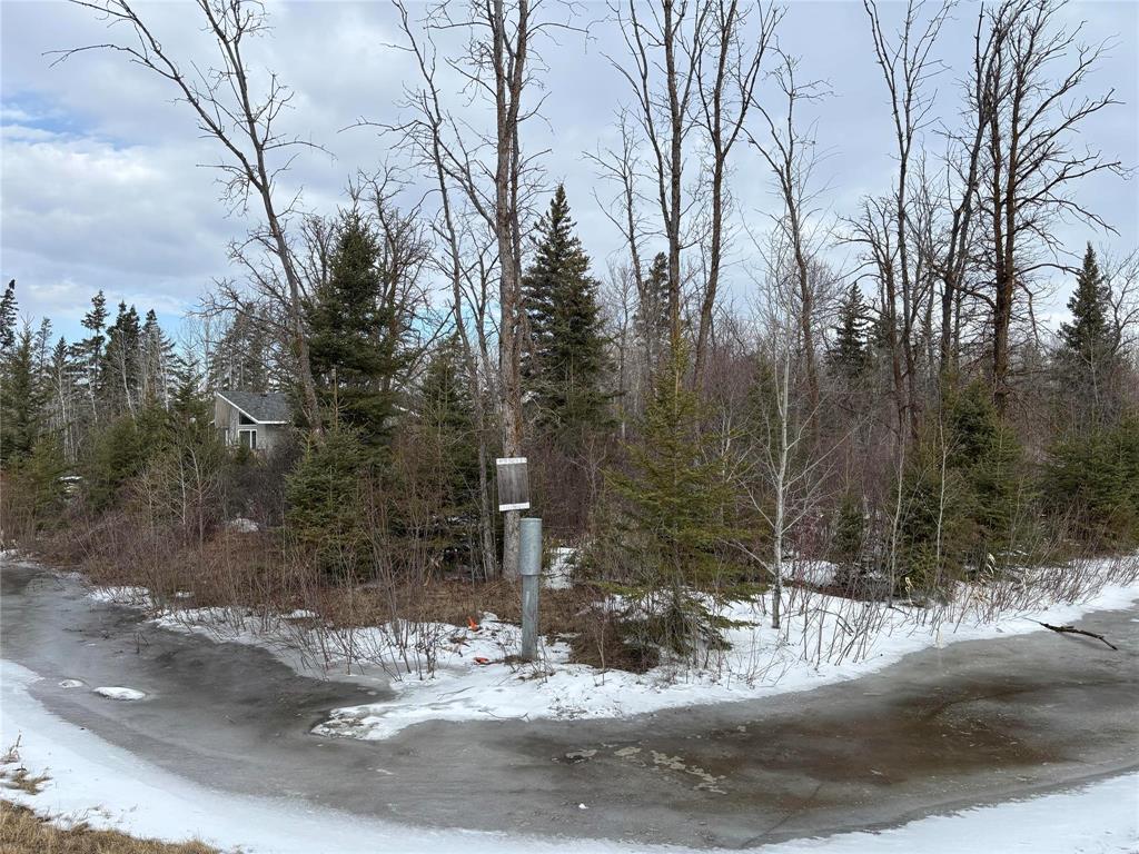 0 Hope Road, Husavik, Manitoba  R0C 1B0 - Photo 3 - 202607601