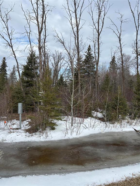 0 Hope Road, Husavik, Manitoba  R0C 1B0 - Photo 4 - 202607601