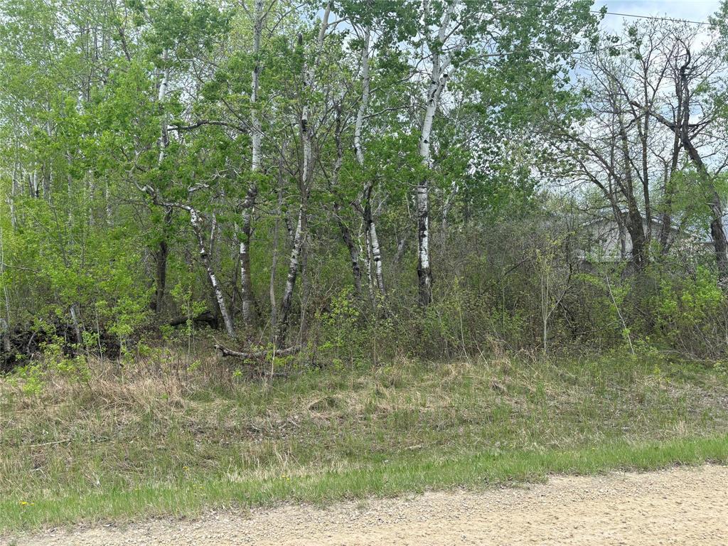 143 HOGANS Alley, sandy hook, Manitoba