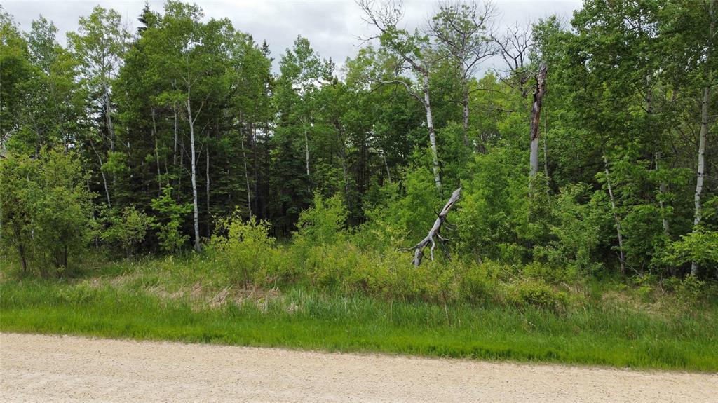 42 TWIN PINE Road, gimli rm, Manitoba