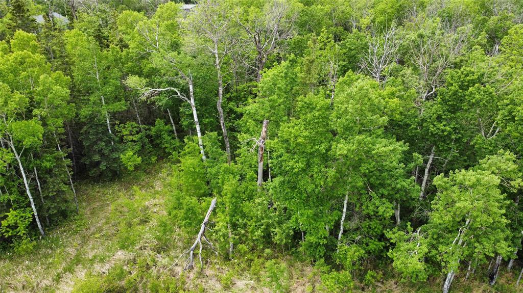 42 Twin Pine Road, Gimli Rm, Manitoba R0C 1B0 - Photo 1 - 202614368