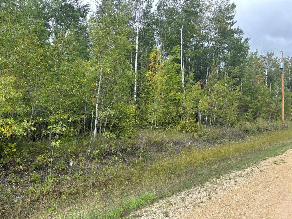 85 VIKING Trail, gimli rm, Manitoba