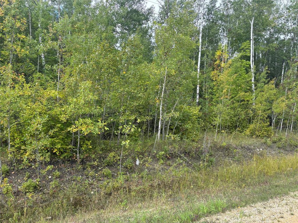 85 Viking Trail, Gimli Rm, Manitoba R0C 1B0 - Photo 1 - 202623107