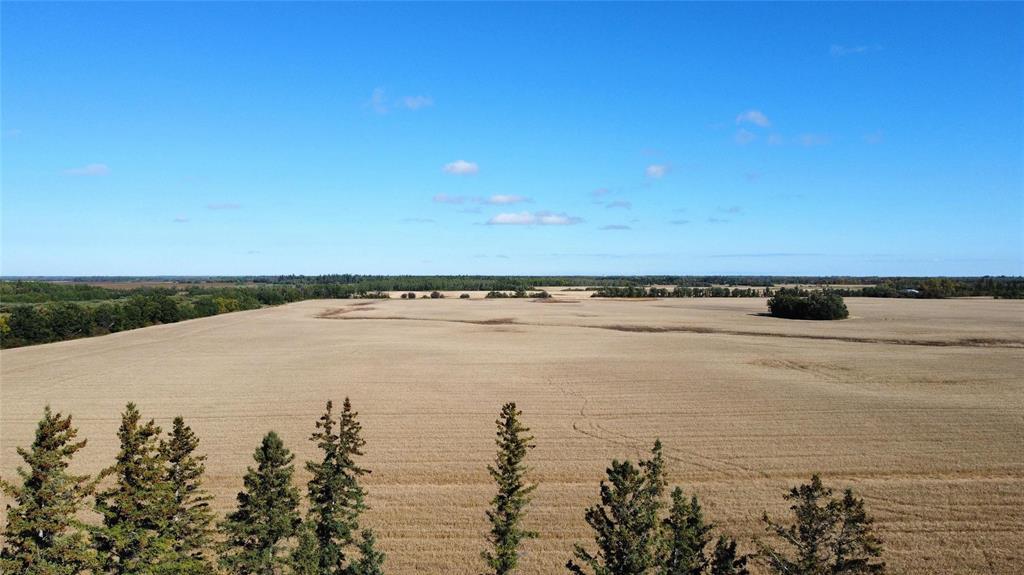 18090 17th Avenue, Sandy Hook, Manitoba R0C 2W0 - Photo 28 - 202623875